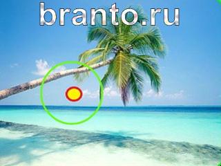Зоркий глаз: найди отличия - ответы