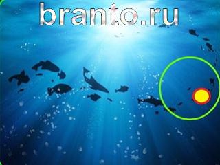 Зоркий глаз: найди отличия - ответы