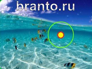 Зоркий глаз: найди отличия - ответы