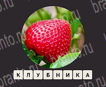 ЗУМ Увеличенные изображения android, iOS - ответы на игру