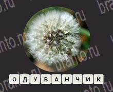 ЗУМ Увеличенные изображения android, iOS - ответы на игру